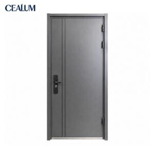 Slim minimalist light grey steel flat door. Clean no-frame style, durable steel construction, scratch-resistant surface.