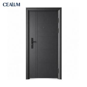Minimalist matte dark grey steel security door. Reinforced door leaf, heavy-duty hinges, anti-theft locking system