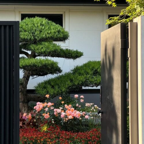 Door opening effect